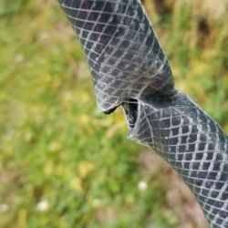 Blue Heron Septic and Drain Service