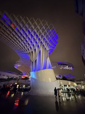 Setas de Sevilla by null