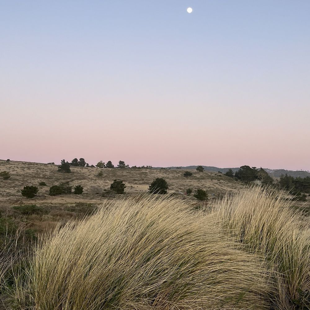 Limantour Beach - Moonrise in the grasslands adjacent to the beach - Beaches Near Me - Point Reyes Station, California Limantour Beach - Moonrise in the grasslands adjacent to the beach - Beaches Near Me - Point Reyes Station, California