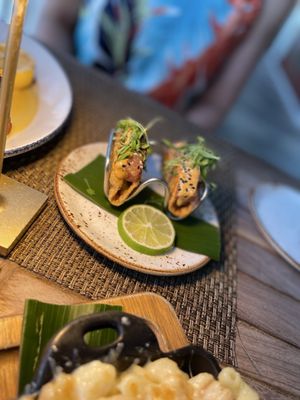 Hot Tin Roof Restaurant by null