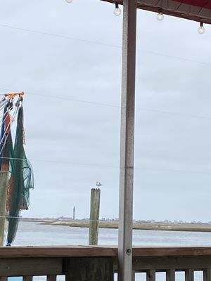 Fishy Fishy Cafe by null