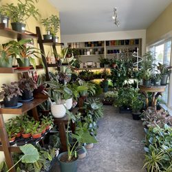 Fertile Earth Nursery - Green House Room