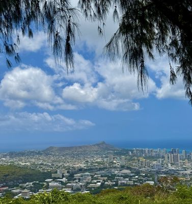 Puʻu ʻUalakaʻa State Wayside by null
