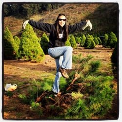 4-C's Christmas Tree Farm - 11/27/11 My sister at Four C's Christmas Tree Farm