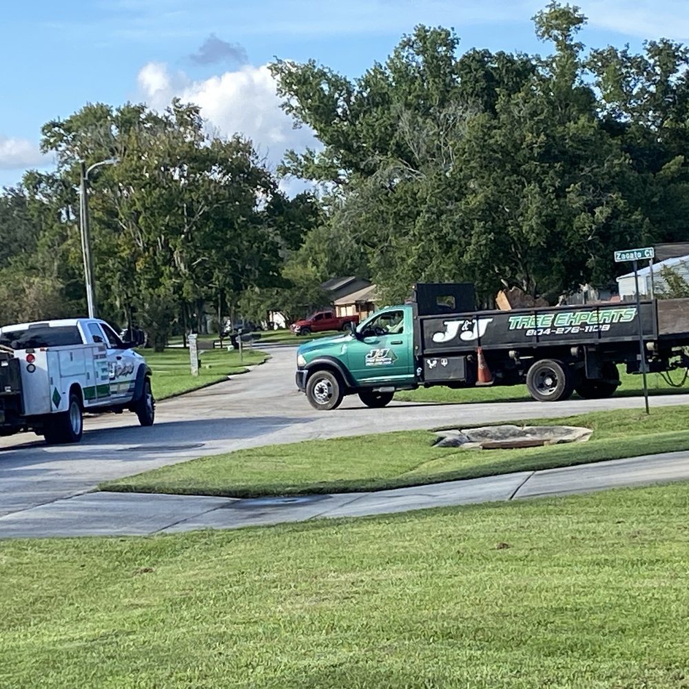J & J Tree Experts - Them blocking to road. - Tree Services Near Me - Orange Park, Florida