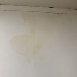 Conrad Property Management