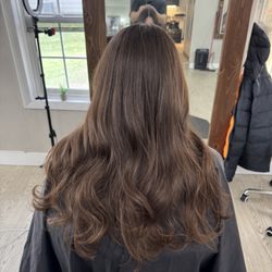 The Organic Hair Doc