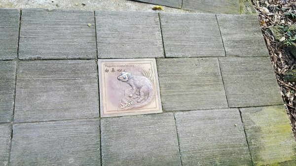 Kenting National Forest Recreation Area by null