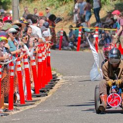 Portland Adult Soapbox Derby - Variety, colorful, and fun