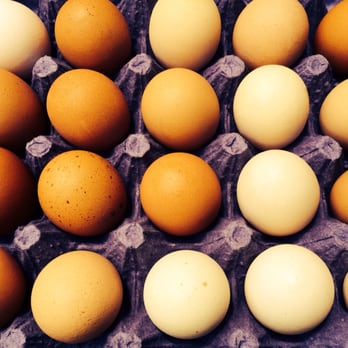 Cox Farms Market - Farm fresh eggs! - Grocery Near Me - Duncanville, Texas Cox Farms Market - Farm fresh eggs! - Grocery Near Me - Duncanville, Texas
