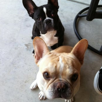 Lorrie's Paw Spa - Pierre & Walter - Pet Groomers Near Me - Rancho Cucamonga, California Lorrie's Paw Spa - Pierre & Walter - Pet Groomers Near Me - Rancho Cucamonga, California