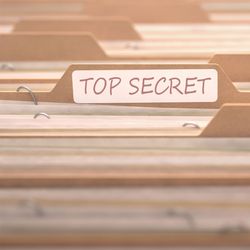 The Magnus Group - Adjudicated by the federal government for access up to and including "Top Secret" in matters materials pertaining to national security