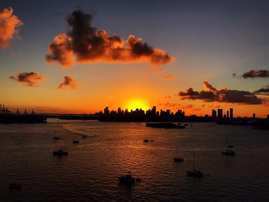 The Deck at Island Gardens by null