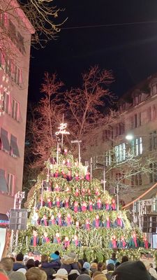 Singing Christmas Tree by null