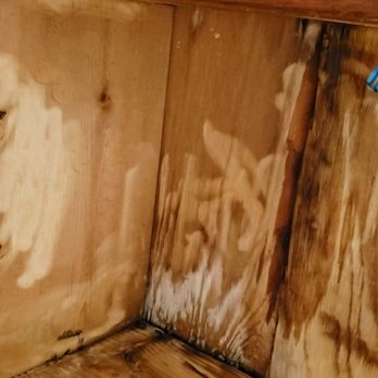 Brown Community Management - Saturated ceiling joists and open to bathroom leaking from above - Homeowner Association Near Me - Mesa, Arizona Brown Community Management - Saturated ceiling joists and open to bathroom leaking from above - Homeowner Association Near Me - Mesa, Arizona