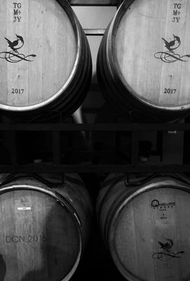 Horse Thief Hollow Brewing Co. by null Horse Thief Hollow Brewing Co. by null