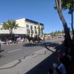 Sebastopol Apple Blossom Festival