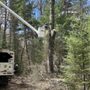 B&B Tree Service