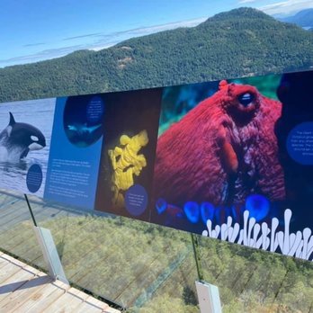 Malahat Skywalk - Historical Tours Near Me - Malahat, British Columbia
