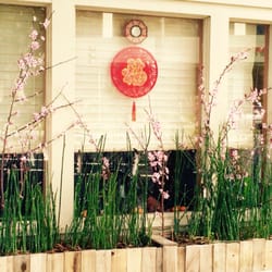 Wudang West Cultural Heritage Center - New Lunar Year Cherry Blossoms