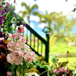 Sasi Thai Massage - Waiting area outside the studio
