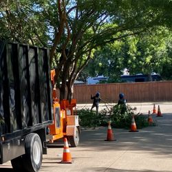Elite Arborist