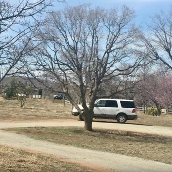 C-C Tree and Landscape - Tree Services Near Me - Tehachapi, California