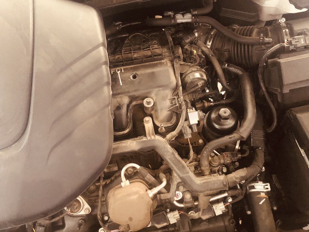 GREASE MONKEY Updated October 2024 12 Reviews 1160 Dexter St