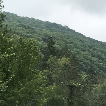 Ole' Covered Wagon Tours - Mountainside - Tours Near Me Ole' Covered Wagon Tours - Mountainside - Tours Near Me
