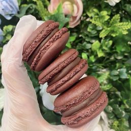 Chocolate Truffle