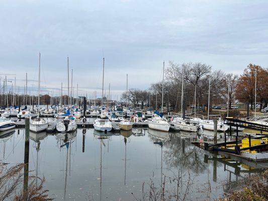Washington Sailing Marina by null