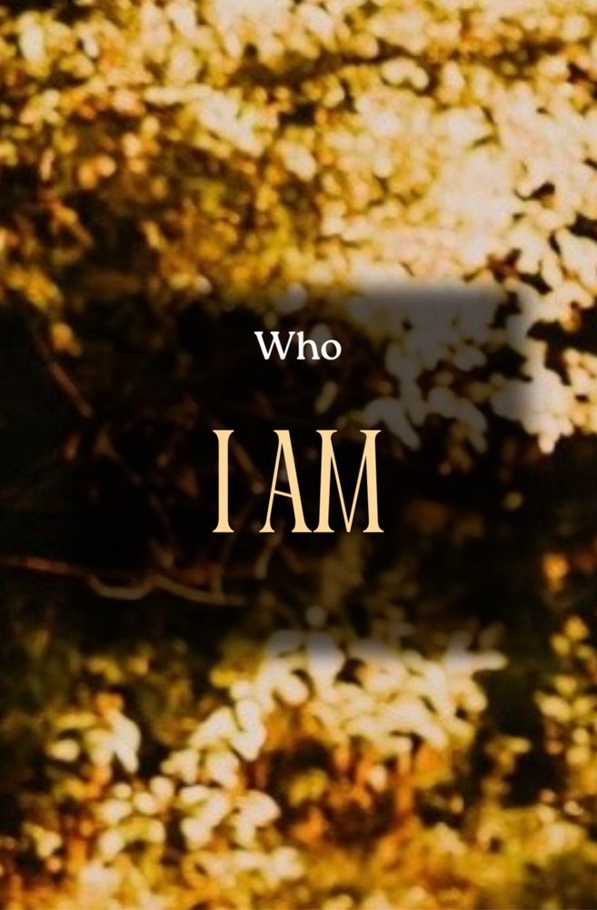 Brain Body Speak - grief counselor in Charlotte, NC