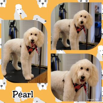 Waggin' Tails - Pet Groomers Near Me - Fortville, Indiana Waggin' Tails - Pet Groomers Near Me - Fortville, Indiana