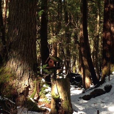 Fugaku Wind Cave by null