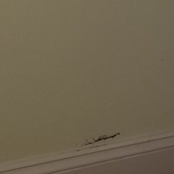 Magnolia Exterminating