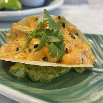 Balan's - Salmon Wonton Taco - Cocktail Bars Near Me - Miami, Florida