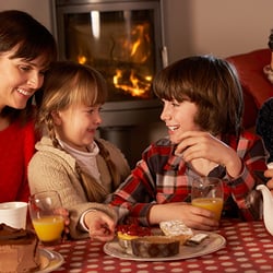 HendrixAir and Plumbing - Healthy Home Heating. For safe operation and energy efficiency at the right temps for any winter day, call us.