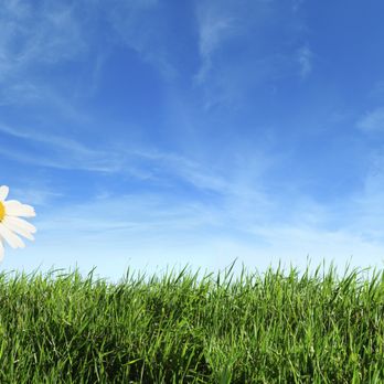 Lapels Dry Cleaning - 100% Environmentally Friendly - Dry Cleaning Near Me - Nashville, Tennessee Lapels Dry Cleaning - 100% Environmentally Friendly - Dry Cleaning Near Me - Nashville, Tennessee