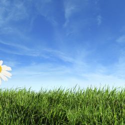 Lapels Dry Cleaning - 100% Environmentally Friendly