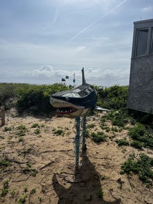 Herring Cove Beach by null