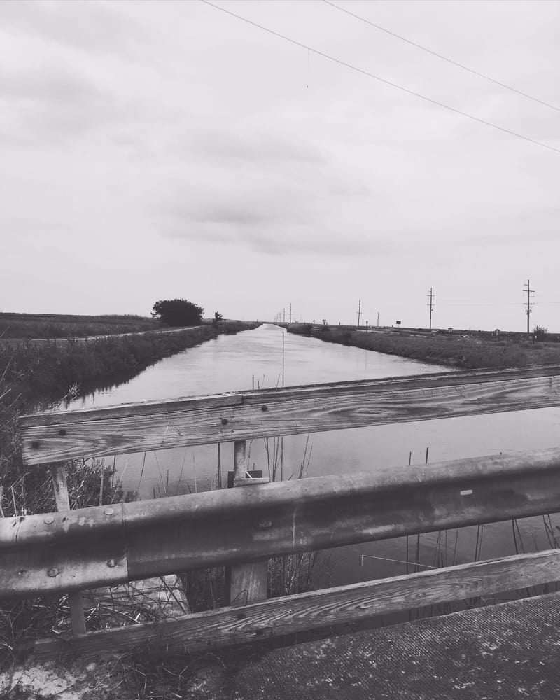 SABINE NATIONAL WILDLIFE REFUGE Updated September 2024 13 Photos