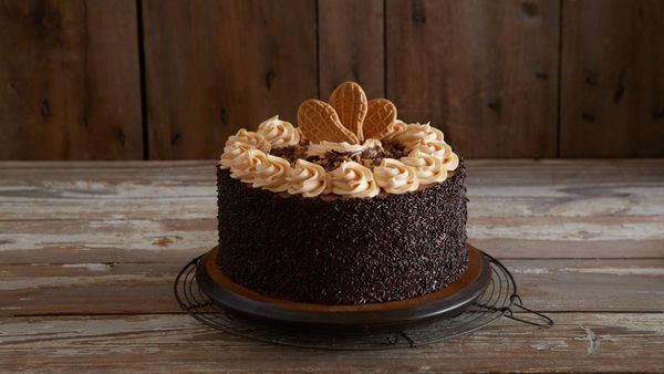 Marble Slab Creamery by null