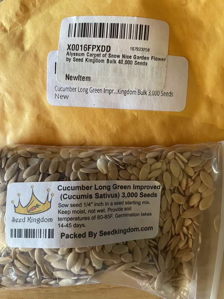 THE SEED KINGDOM Updated October 2024 10 Reviews 6405 Peoria Ave