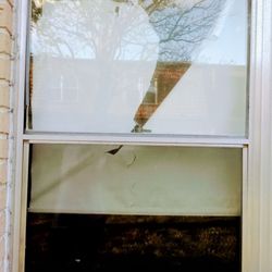 Sentry Management - Window blinds Disrepair