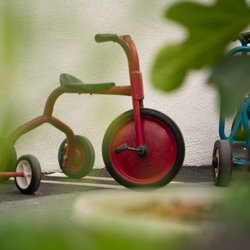Blossom Montessori