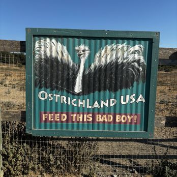 Ostrichland USA - Sign - Attraction Farms Near Me - Solvang, California Ostrichland USA - Sign - Attraction Farms Near Me - Solvang, California