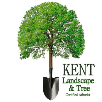 Kent Tree and Landscape - a tree with a shovel - Tree Services Near Me - Jefferson, Massachusetts