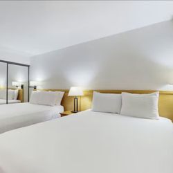 Aspen Mountain Lodge - Double-Queen Bedded Room 2
