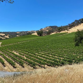 Robert Young Estate Winery - Wineries Near Me - Geyserville, California Robert Young Estate Winery - Wineries Near Me - Geyserville, California