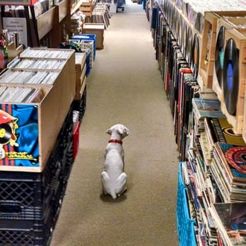 Trax On Wax - Vinyl Records Near Me - Catonsville, Maryland Trax On Wax - Vinyl Records Near Me - Catonsville, Maryland